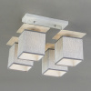 Потолочная люстра Escada Argus 1129/4PL Grey