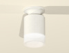 Накладной светильник Ambrella Light Techno XS6301104 (N6901, C6301, N6248)