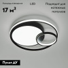 Потолочная люстра Eurosvet Jeremy 90254/1 черный a057128