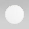Потолочный светильник TK Lighting 18797 Aqua a068413
