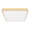 Потолочный светильник Loft IT Flims 10228/D