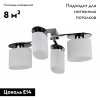 Потолочная люстра Freya Bice FR5101-CL-04-CN