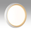 Настенно-потолочный светильник Sonex Tofiq white 7650/DL