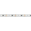 Светодиодная герметичная лента Arlight DMX-PS-B60-12mm 12V RGB-PX3 (14 W/m, IP67, 5060, 5m) 039605