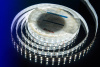 Светодиодная лента DesignLed DSG5120-24-W-33 000522