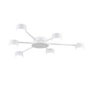 Потолочная люстра Lumion Comfi Torina 8343/6C