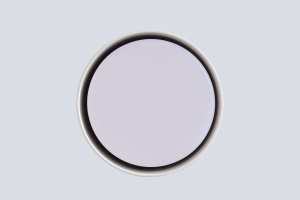 Потолочный светильник Crystal Lux CLT 073C WH