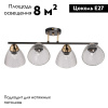 Потолочная люстра De Markt Дэла 635017504