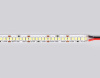Светодиодная лента Ambrella Light LED Strip 24В 2835 22Вт/м 6500K 5м IP20 GS3503