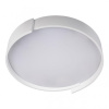 Потолочный светильник Loft IT Coin 10200 White