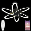 Потолочная люстра Natali Kovaltseva HIGH-TECH LED LAMPS 82008 BLACK