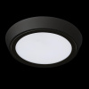 Уличный светильник Lightstar 216972