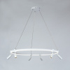Подвесная люстра Arte Lamp Ring A2186SP-1WH