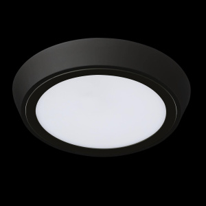 Уличный светильник Lightstar 216972