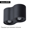 Потолочный светильник Arte Lamp Falcon A5645PL-2BK