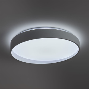 Потолочный светильник Freya Pass FR6222CL-L84W