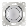 Диммер Arte Milano 202.48-1.silver