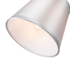 Потолочная люстра Freya Diva FR5145CL-03CH