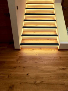 Светодиодная лента Eglo Cob Stripe 900577