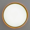 Потолочный светильник Citilux Etalon CL750401R
