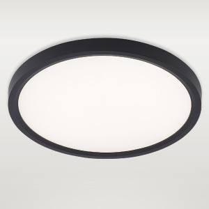 Потолочный светильник Natali Kovaltseva Plain LED LAMPS 81114/2C