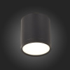Потолочный светильник ST Luce Rene ST113.442.05