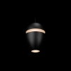 Подвесной светильник Loft IT Viterbo 10336 Black