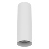 Потолочный светильник Lightstar Rullo 216496