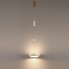 Подвесной светильник Odeon Light L-Vision Riviera 5450/32L