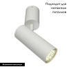 Настенно-потолочный светильник Aployt Berenis APL.007.02.01