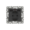 Механизм розетки с USB зарядкой Arlight SCT-MUAA-PL-BK (250V, 16A) 043734