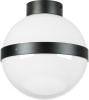 Потолочный светильник Lightstar Globo 812117