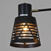 Потолочная люстра Reluce 06074-3.3-03 BK+FG