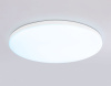 Потолочный светильник Ambrella Light Orbital Dance FZ2002