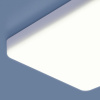 Потолочный светильник Elektrostandard DLS043 10W 4200K a047941