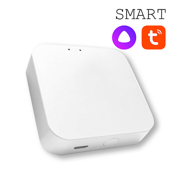 Конвертер WI-FI для трековой системы EKS Colibri Smart 0У-00002005
