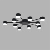 Потолочная люстра Lumion Comfi Torina 8344/10C