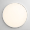 Потолочный светильник Citilux Norma CL749500