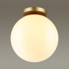 Потолочный светильник Odeon Light 4248/1C