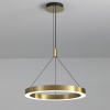Подвесная люстра Delight Collection P0516-600A titanium gold