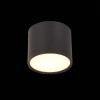 Потолочный светильник ST Luce Rene ST113.432.09