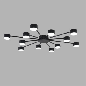 Потолочная люстра Lumion Comfi Torina 8344/12C