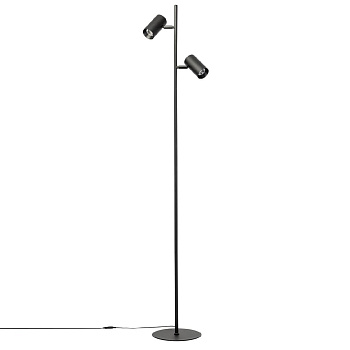 Торшер Citilux Twin CL809011N