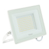 Светодиодный прожектор Feron LL-922 IP65 100W 6400K 52081