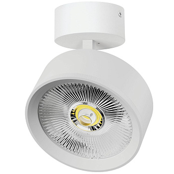 Накладной светильник Alta Pro Lightstar A5746SO