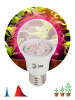 Фитолампа для растений светодиодная ЭРА E27 12W 1310K FITO-12W-RB-E27-K Б0039070