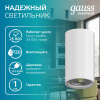 Накладной светильник Gauss Basic HD060
