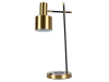Настольная лампа Zortes DeskLight ZRS.1066.03