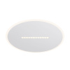Потолочный светильник Freya Shine FR6105CL-L73W