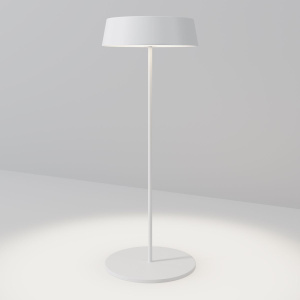 Уличный переносной аккумуляторный светильник Maytoni Porto O540TL-L2WCCT